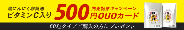 発売13周年記念キャンペーン！QUOカード500円分もれなくプレゼント